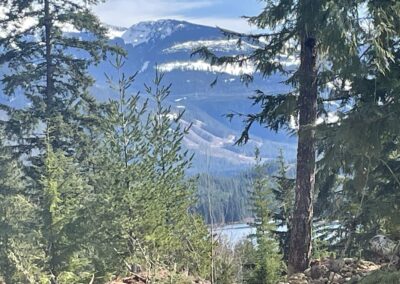 Mount Griffin RV Resort Forest View Mountain Lake