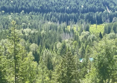 Mount griffin RV Resort forest Canopy