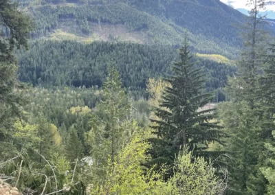 Mount Griffin RV Snowcapped peak view