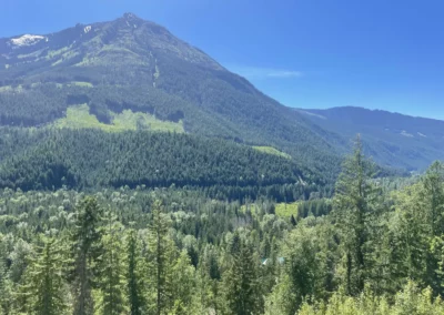 Mount griffin RV resort summer mountain view