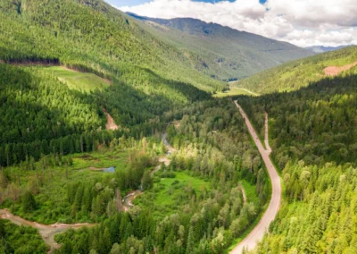 Mount griffin forest overview